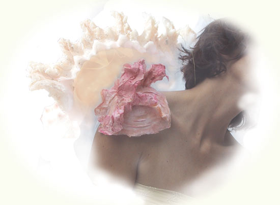 extension pour épaule