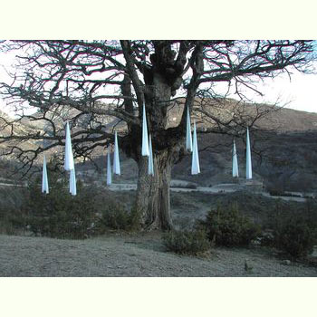 installation champ lithique