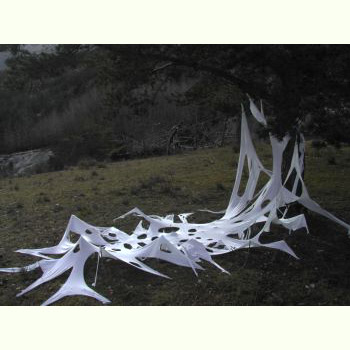 installation prolifération